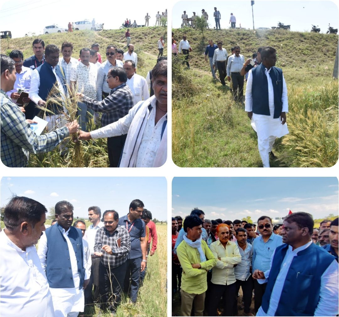 पग्नेश्वर मेढकी क्षेत्र में पहुंचे स्वास्थ्य मंत्री । खेतों में पहुंचकर देखी बर्बाद फसलें