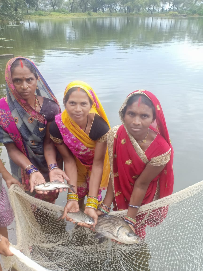 सफलता की कहानी – आजीविका गतिविधियों से जुड़कर समूह की महिलाओं ने बुना सफलता का ताना-बाना आजीविका गतिविधियों से जुड़कर समूह की महिलाओं ने बुना सफलता का ताना-बाना