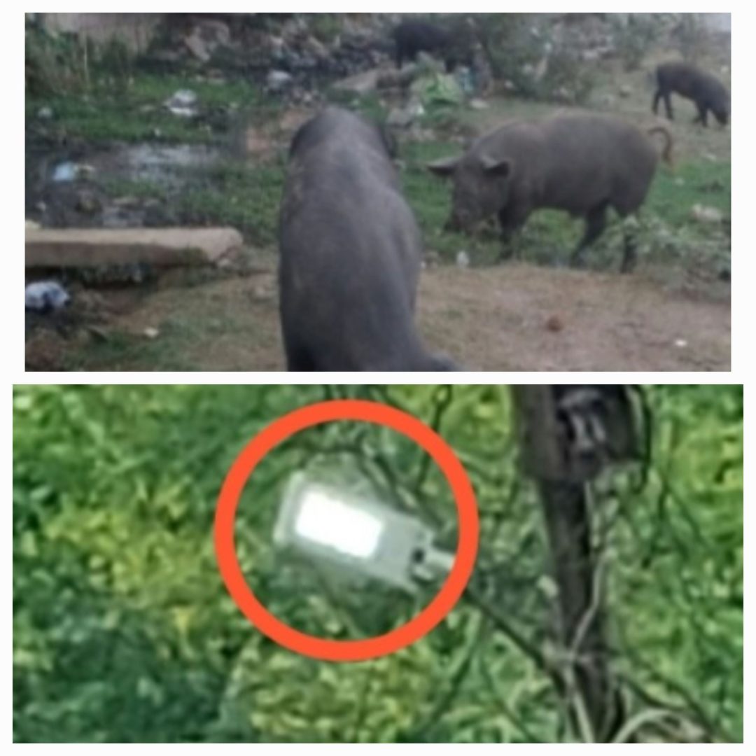 ऐतिहासिक स्थली की लंबें समय से दिनभर जलती है बिजली रात होते ही डूब जाती है अंधेरे में । नगर गंदगी की चपेट में।