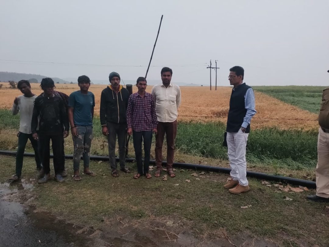 ग्यारसपुर तहसील के ग्राम लाखुली गांव में गिरे ओले हुआ फसलों का नुकसान