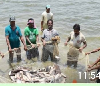 छत्तीसगढ़ में राष्ट्रीय स्तर पर फिर रचा इतिहास,बेस्ट इनलऐंड डिस्टीक्ट अवार्ड।