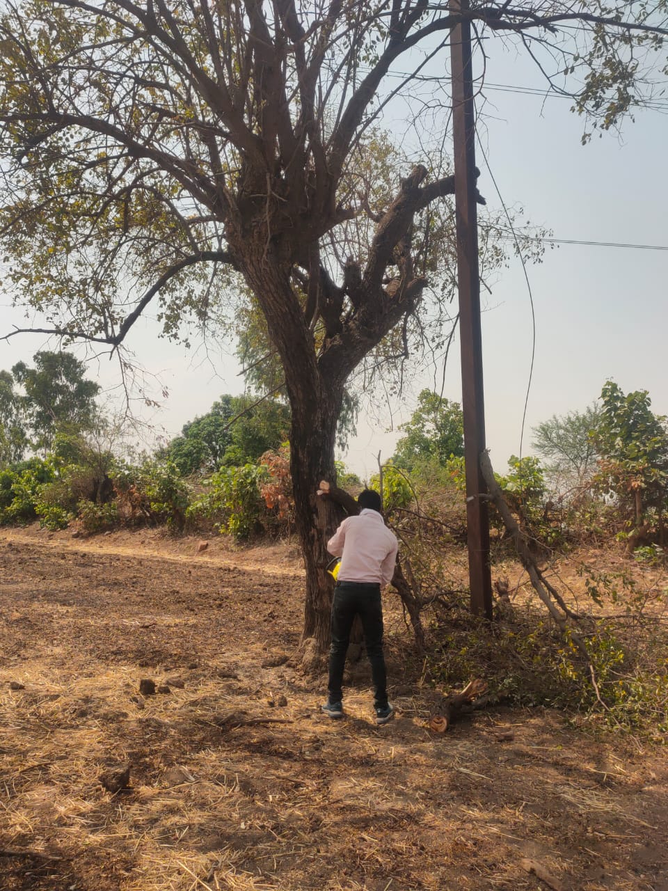 बिजली व्यवस्था दुरुस्त करने विद्युत विभाग तैयार, बारिश पूर्व शुरू की लाइन दुरुस्ती और पेड़ों की छंटाईतेज हवा और आंधी से पहले कंपनी ने कसी कमर