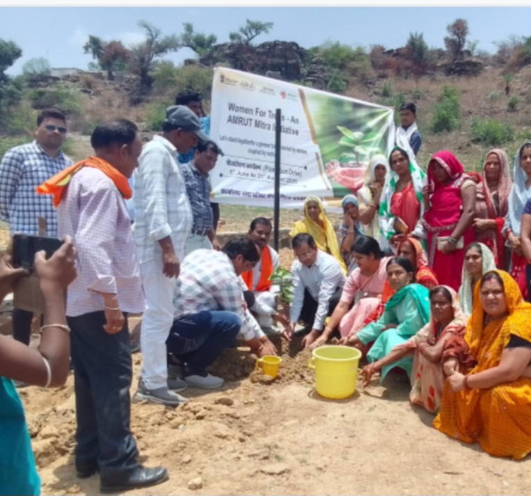 नगर परिषद सांची में “वूमन फॉर ट्री” अभियान का शुभारंभ — विश्व पर्यावरण दिवस पर हुआ पौधारोपण कार्यक्रम