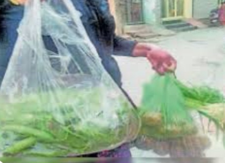 प्लास्टिक पर पाबंदी केवल कागज़ों में, सांची में खुलेआम हो रहा पॉलीथिन का उपयोग ।