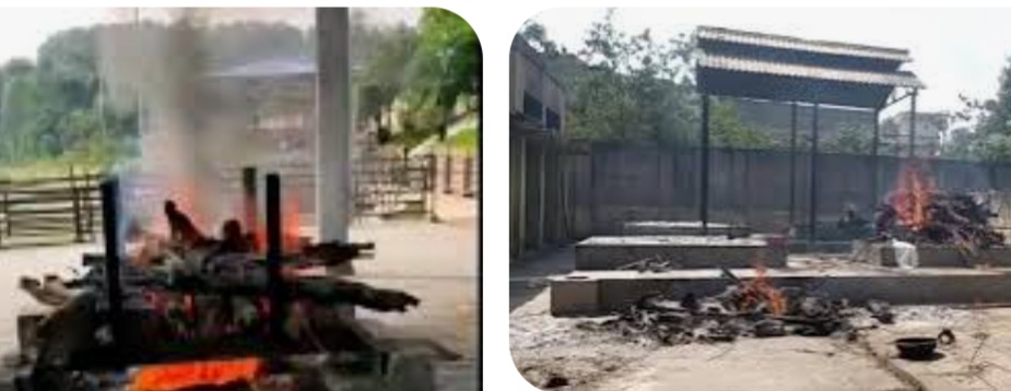 कमापार गांव में शमशान की नहीं व्यवस्था, ग्रामीणों को आज भी शवों के अंतिम संस्कार के लिए जाना पड़ता है 8 किमी दूर