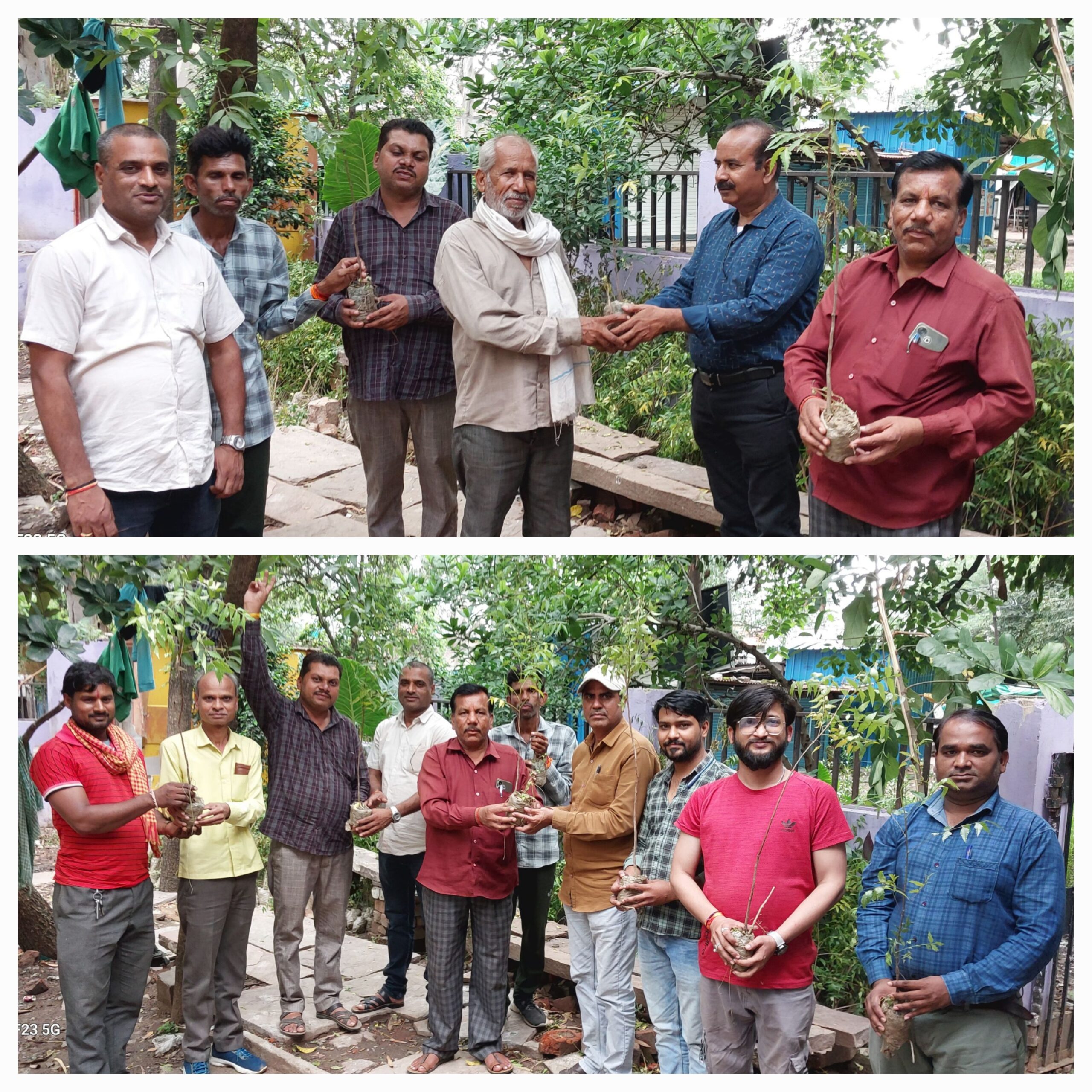 अंतरराष्ट्रीय सहकारिता दिवस पर किसानों को वितरित किए नीम के पौधे।