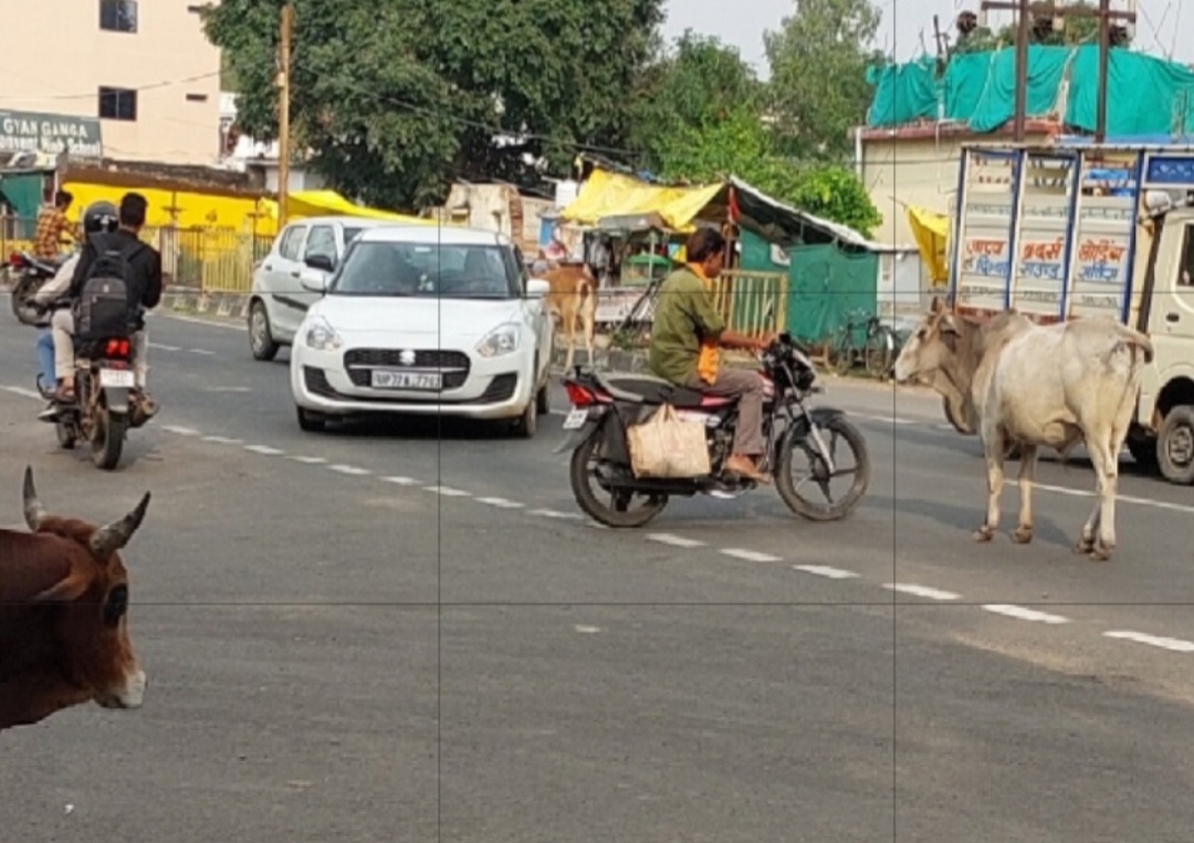 सांची के व्यस्ततम चौराहों पर नहीं यातायात पुलिस व्यवस्था, मंडरा रहा जानलेवा हादसों का खतरा