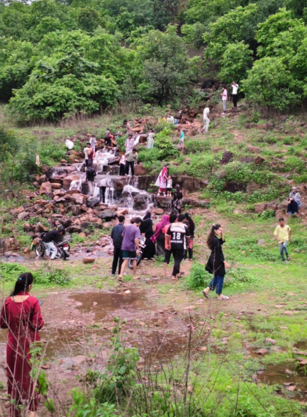 बरसात से जंगलों में लौटी रौनक, झरनों पर उमड़ रही भीड़