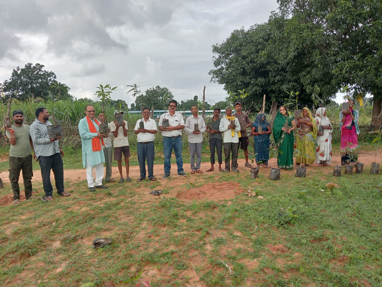 एक पेड़ मां के नाम योजना अंतर्गत रोपे पौधे।