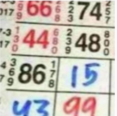 सांची में सट्टा खेलते युवक को पुलिस ने दबोचा, अनैतिक गतिविधियों पर थाना प्रभारी की सख्ती शुरू।