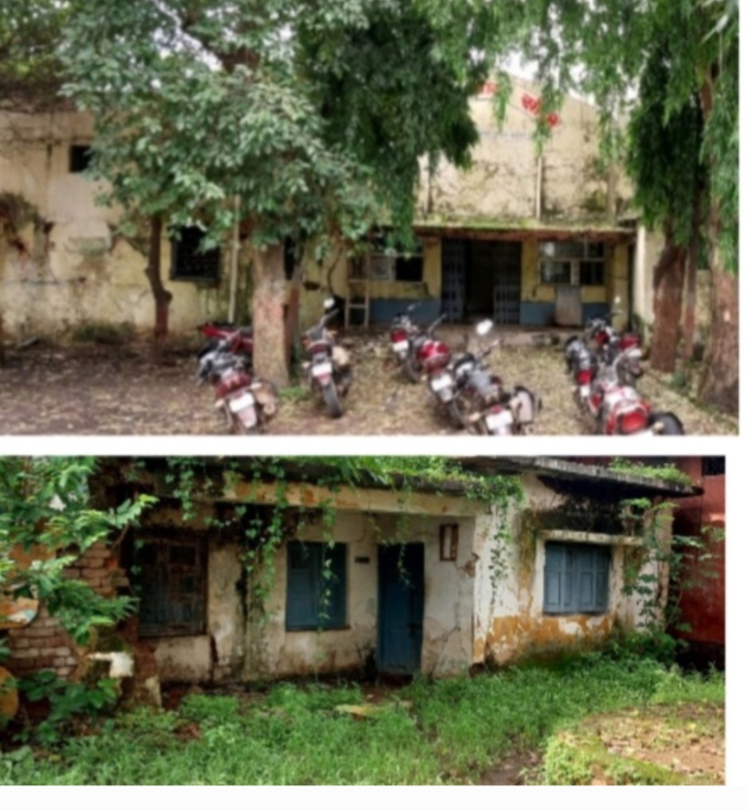 भारी बारिश में खंडहर भवन बने मनुष्यों व पशुओं का आसरा ।अनहोनी की आशंका।