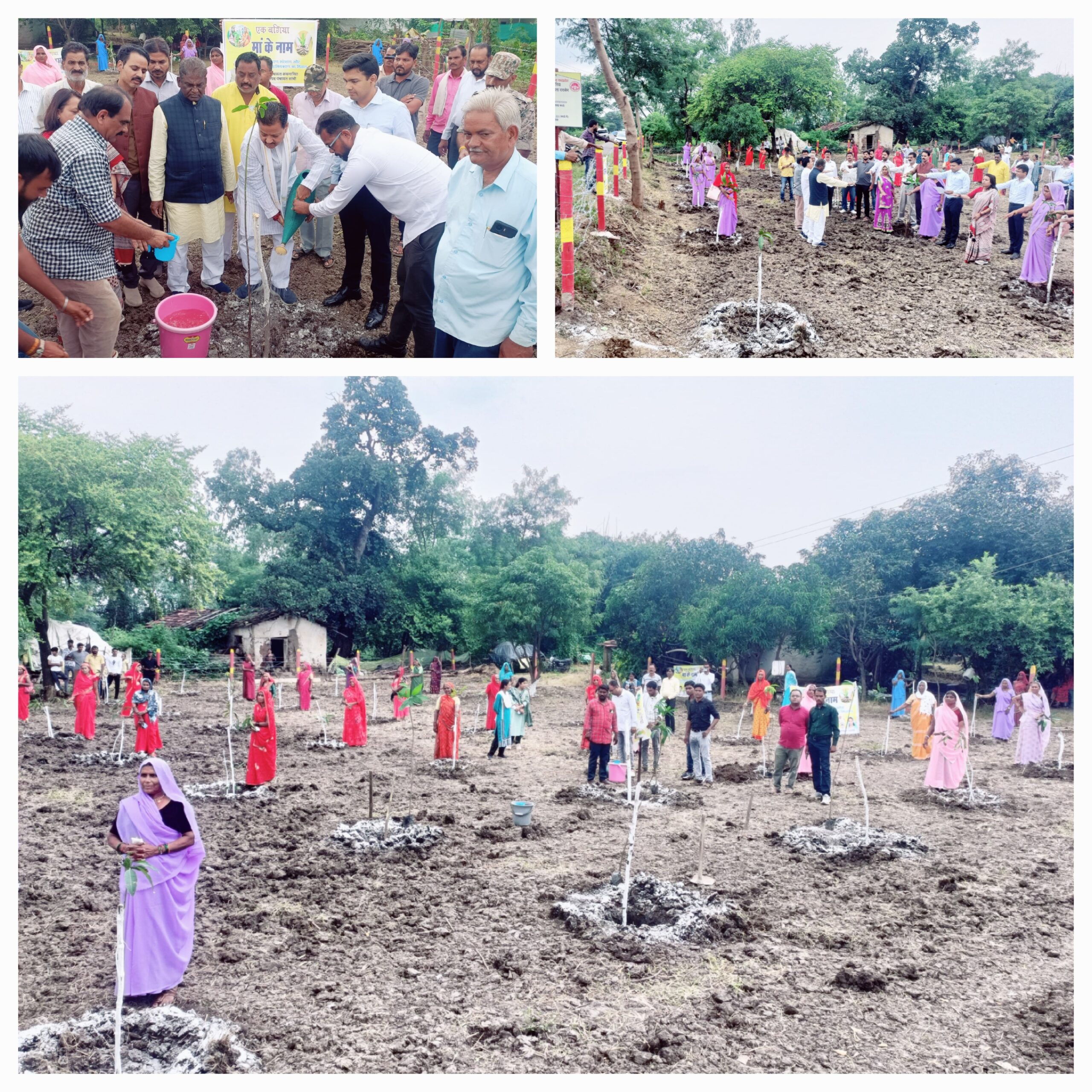 मां के नाम अभियान अंतर्गत पौधरोपण