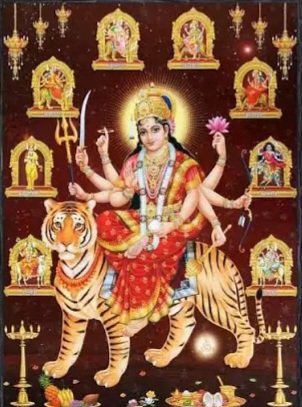 नगर में गूँजे जयकारे, नवरात्रि पर विराजमान हुईं मां दुर्गा ।