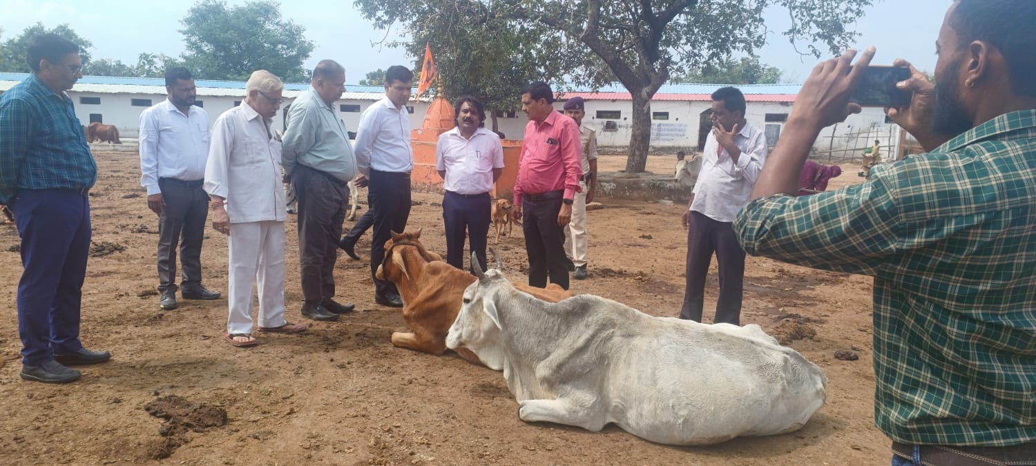 पशुपालन एवं डेयरी विभाग के प्रमुख सचिव ने दुग्ध समृद्धि अभियान के अंतर्गत पशुपालकों से की चर्चा