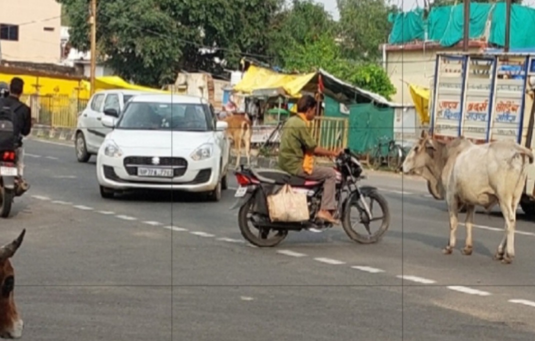 सांची का शिवमंदिर (स्तूप) चौराहा बना खतरे का केन्द्र, सुरक्षा व्यवस्था नदारद।