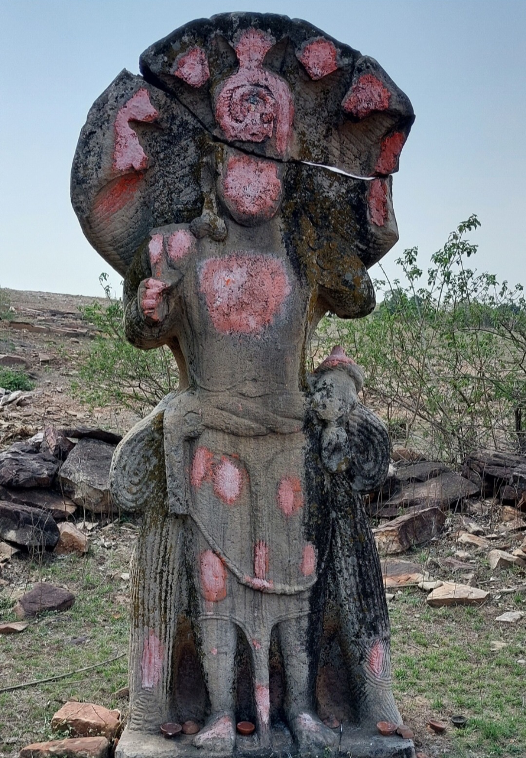 भगवान विष्णु की प्रतिमा भगवान भरोसे, ग्रामीणों ने संभाली धरोहर की जिम्मेदारी।