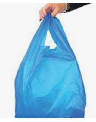 सांची में प्रशासन की अनदेखी से बढ़ रहा प्रदूषण, मवेशी बन रहे हैं पॉलीथिन के शिकार।