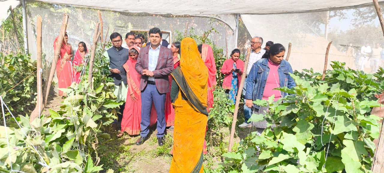 कलेक्टर श्री विश्वकर्मा ने रमपुरा बघेडी और सेमरीकलां का किया भ्रमणबकरी पालन और उद्यानिकी खेती कर रहीं स्व-सहायता समूह की महिलाओं से किया संवाद