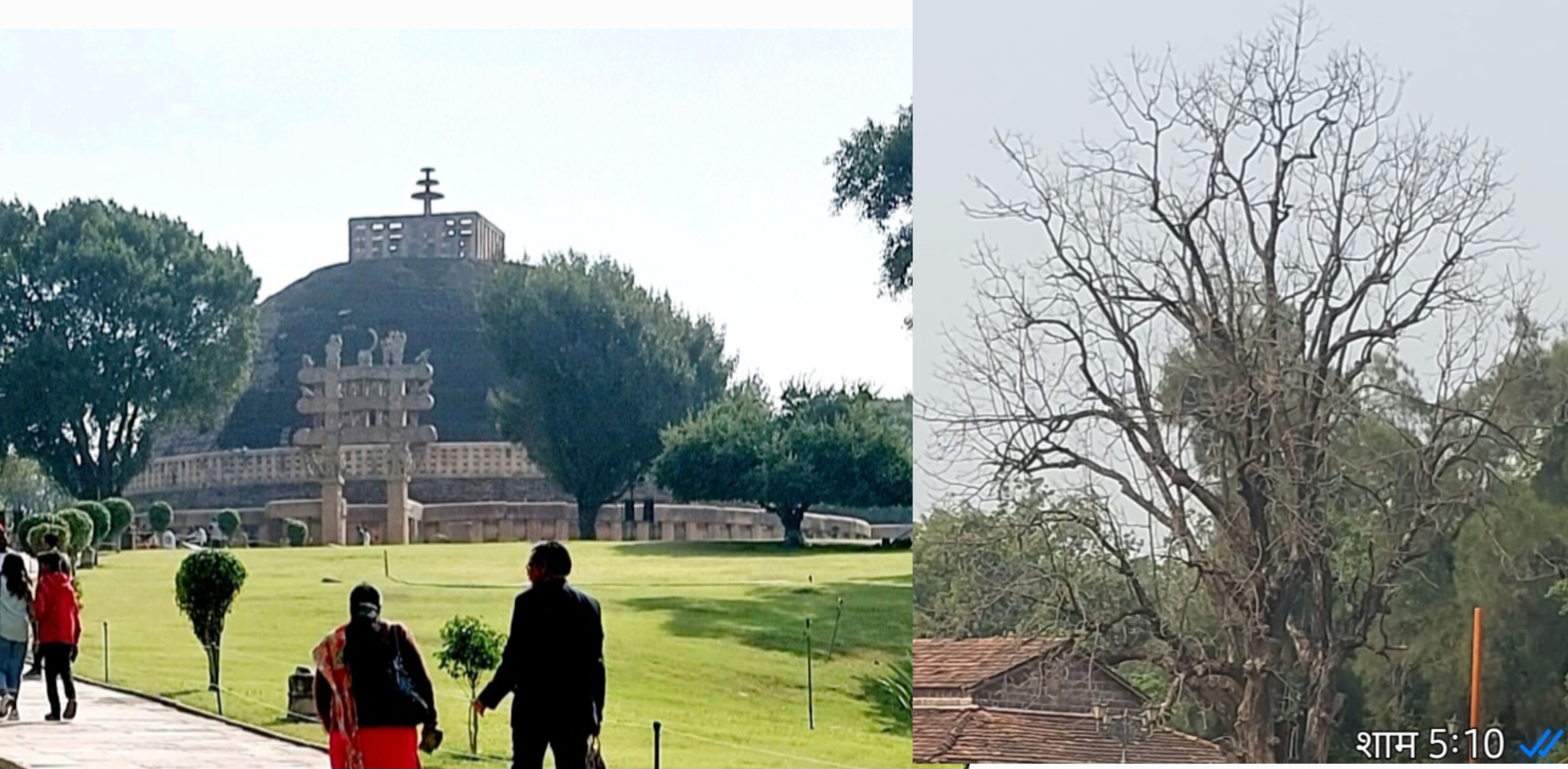 विकास की आड़ में दम तोड़ती सांची की हरियालीलाखों–करोड़ों खर्च के दावों के बीच सूखते पेड़, घटते पर्यटक और सवालों में घिरा सौंदर्य विकास