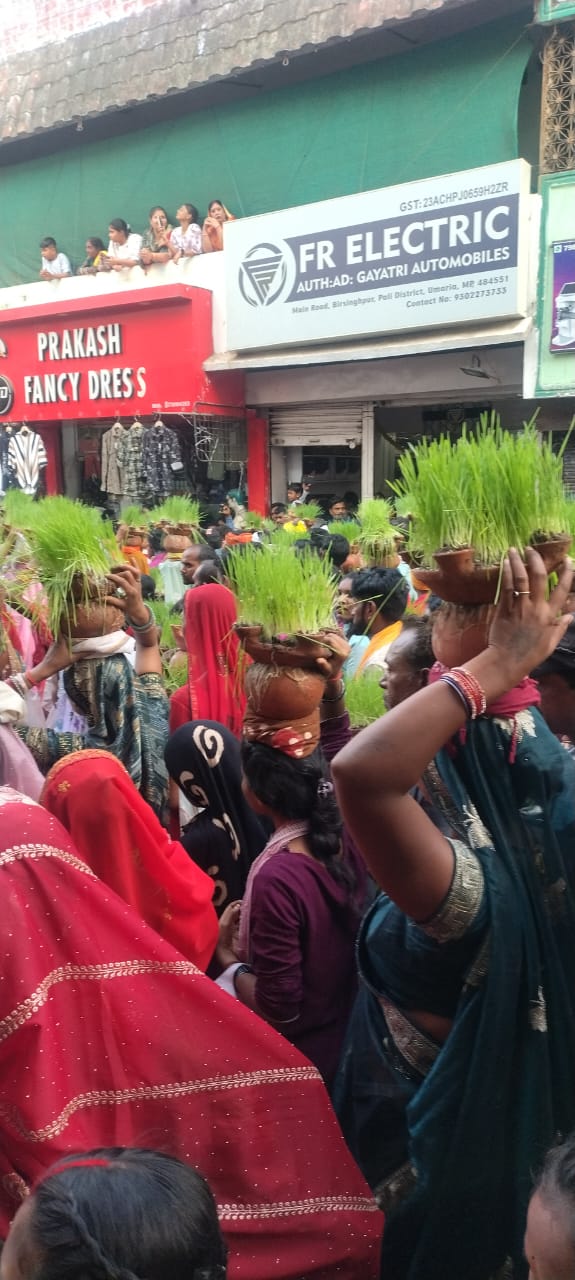 कलेक्टर ने की मां विरासिनी पूजा अर्चना ,पाली में निकला भव्य जवारा जुलूस