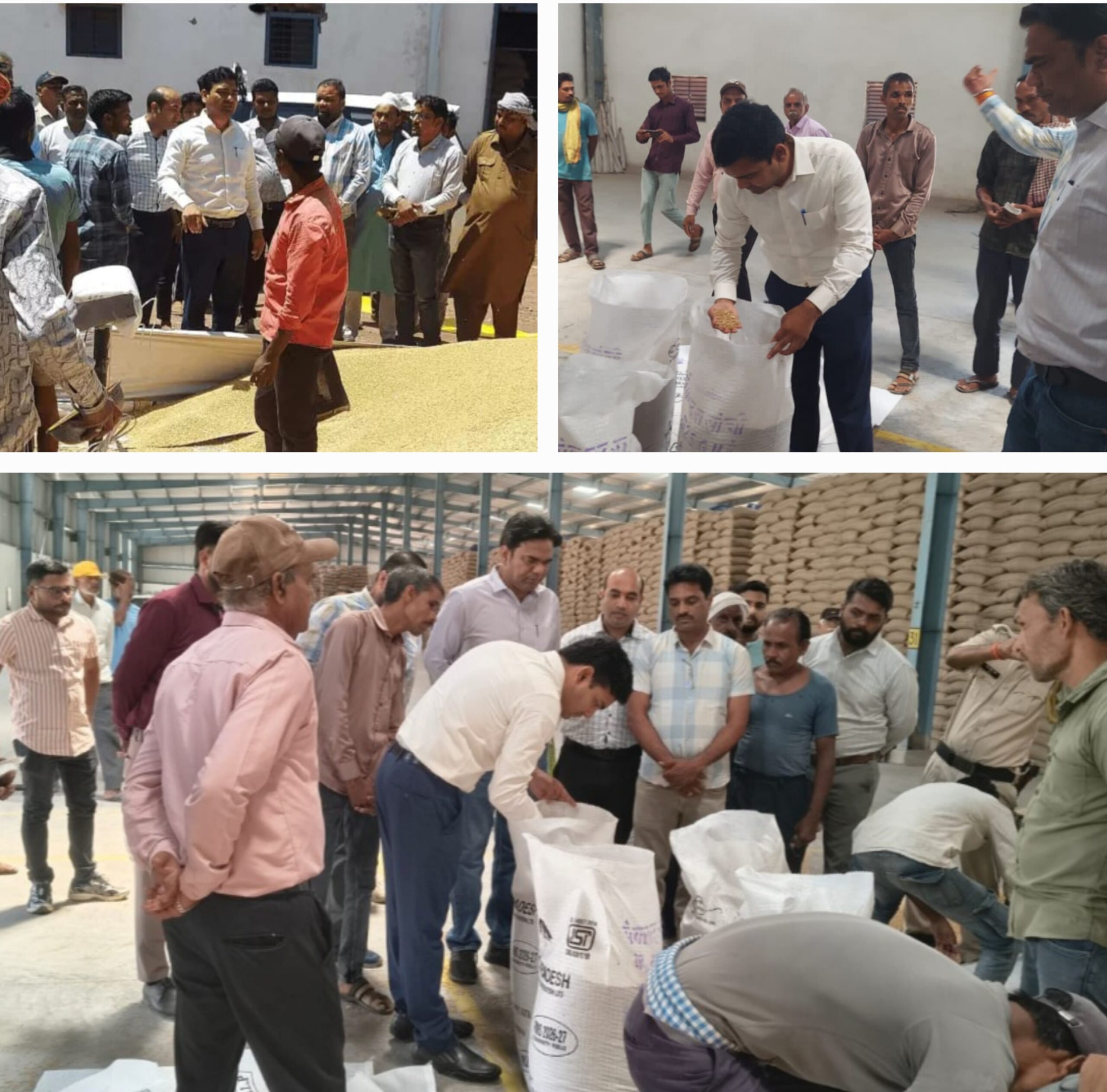 औचक निरीक्षण में कलेक्टर ने परखी गेहूं खरीदी केंद्रों की व्यवस्थाएं।सांची सहित आसपास क्षेत्रों के केंद्रों पर पहुंचकर किसानों से की चर्चा, व्यवस्थाओं पर जताई संतुष्टि जताई।