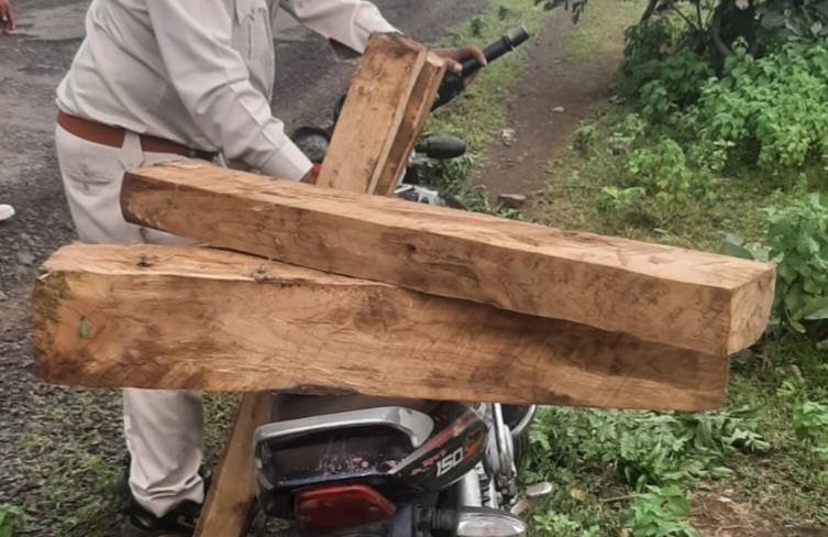 सिलवानी वन परिक्षेत्र में सागौन वनोपज जप्त की गई