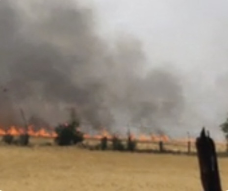 प्रशासन के आदेश बेअसर, खेतों में धधकी नरवाई—नगर में फैलने लगी कालिख।चेतावनियों के बावजूद जारी नरवाई की आगजनी,