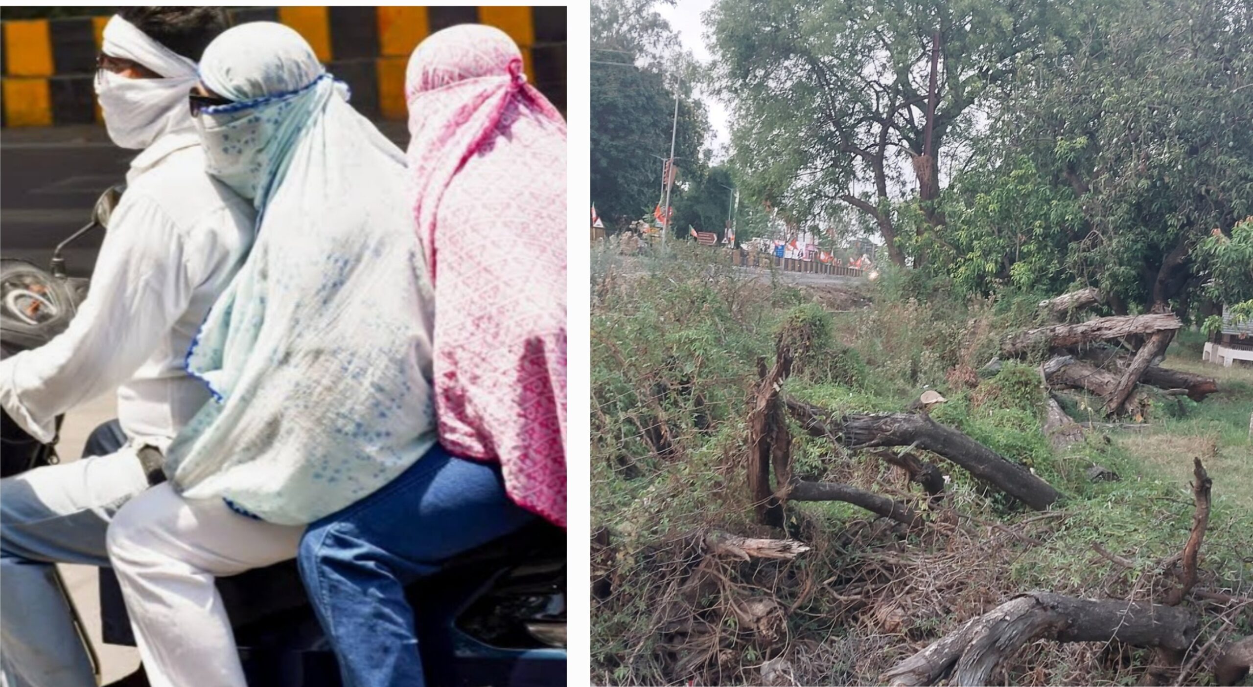 भीषण गर्मी से बेहाल सांची, तापमान 41 डिग्री पहुंचापेड़ों की लगातार कटाई और हरियाली खत्म होने से बढ़ी परेशानी, दिनभर ठंडे पानी और छांव की तलाश में भटक रहे लोग