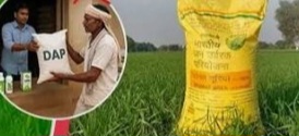 खाद की किल्लत से जूझ रहे किसान, डिजिटल व्यवस्था बनी नई परेशानी।सर्वर और नेटवर्क की समस्या के कारण समय पर खाद नहीं मिलने से किसानों की बढ़ी चिंता, आगामी फसल तैयारी प्रभावित होने की आशंका