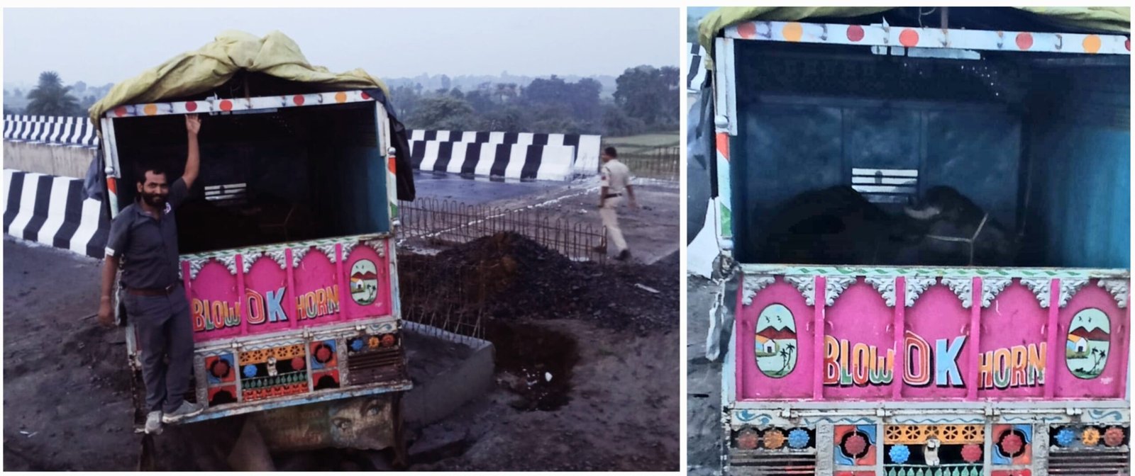 घर में बंधी भैंस पिकअप में भरकर ले गए चोर, पुलिस ने पीछा कर वाहन सहित भैंस बरामद की।मेहगांव के पास पुलिया से टकराने पर पिकअप छोड़कर फरार हुए आरोपी, मामला दर्ज।