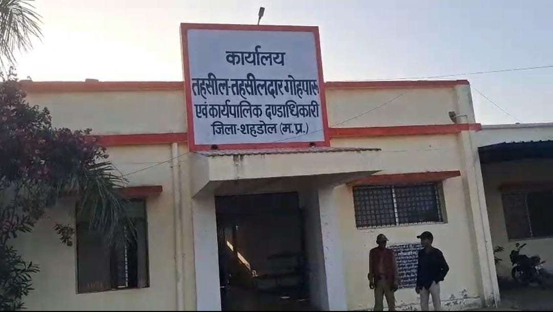 तहसीलदार के आदेश की उड़ रही धज्जियां, भूमि रिकॉर्ड सुधार में लापरवाही का आरोप; पटवारी पर पैसे मांगने के गंभीर आरोप