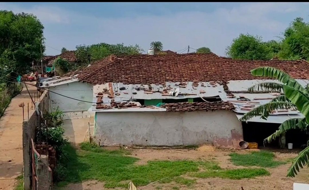 संडे स्पेशल: क्या आपने कभी ऐसा गांव देखा है, जहां पक्की छत बनाना माना जाता है अशुभ? जानिए विदिशा के काफ गांव की अनोखी कहानी
