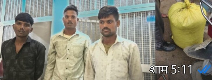 मेढकी गांव में मूंग चोरी का पुलिस ने किया खुलासा, तीन आरोपी गिरफ्तार