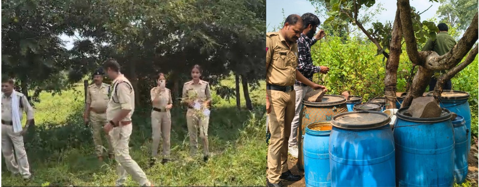 पुलिस व आबकारी विभाग के साथ संयुक्त कार्रवाई, 3000 लीटर लहान नष्टगुलगांव के जंगल में दबिश देकर कच्ची शराब बनाने के लिए तैयार लहान किया नष्ट, करीब 50 हजार रुपए की बताई गई कीमत