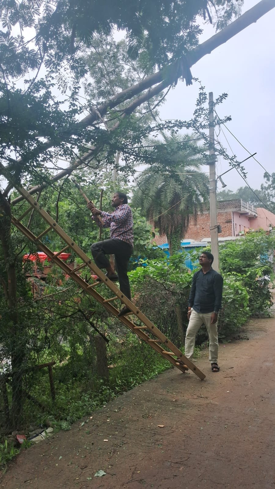 जान जोखिम में डालकर बिजली व्यवस्था संभाल रहे कर्मचारीचाहे रात का अंधेरा हो या बारिश-आंधी, शिकायत मिलते ही मोर्चे पर पहुंचते हैं विद्युतकर्मी